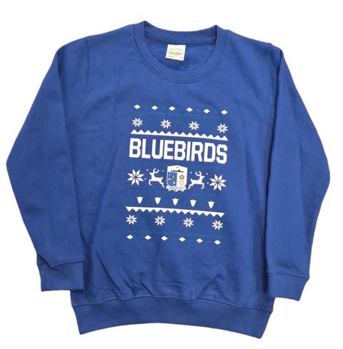 Junior Christmas Jumper