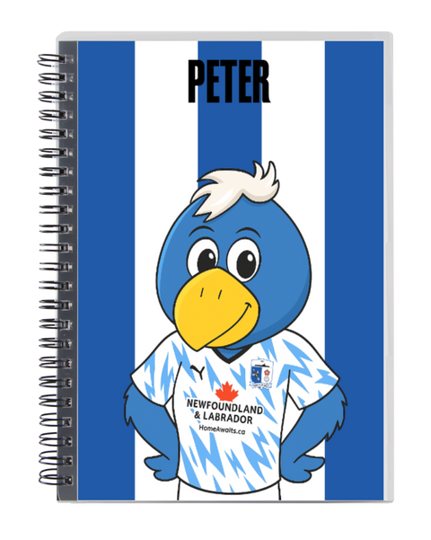 Notebooks